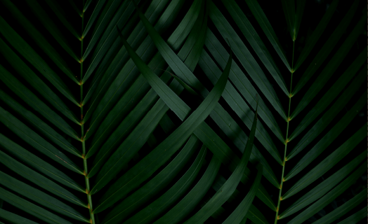 https://www.nuilivingcollection.com.br/wp-content/uploads/2020/03/inner_01_02.png